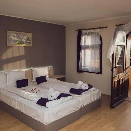 Pensiune Sky Garden House 2*